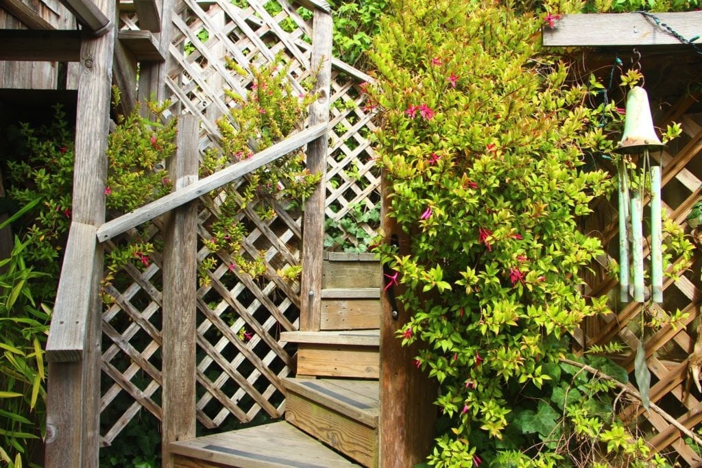 Stairs to the Treehouse Cottage